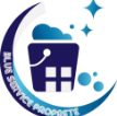 BLUE SERVICE Logo